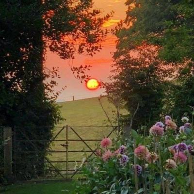 yabo官网网页版下载手机版