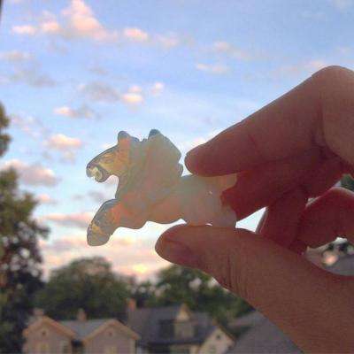 pg麻将胡了下载入口app下载