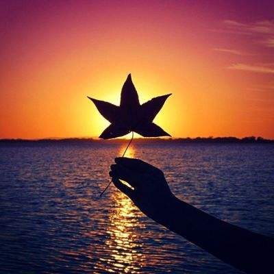 BOB·体育综合APP