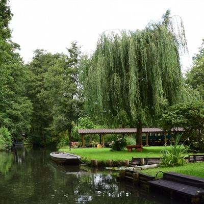 ag娱乐平台游戏中心