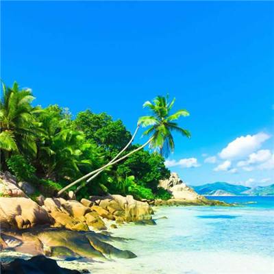 澳门威尼斯人软件