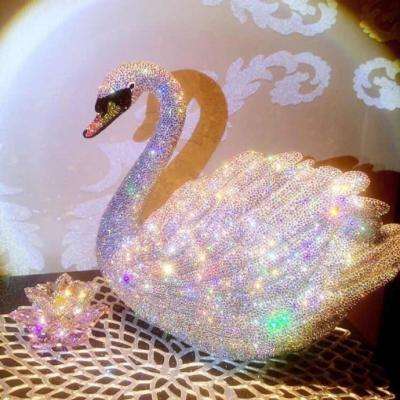 半岛官方入口app