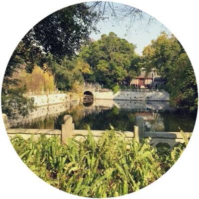 71771威尼斯.Cm下载手机版