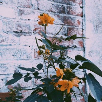 星空体育xk截图