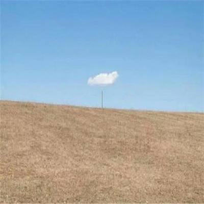 澳门网上黄金城手机app下载