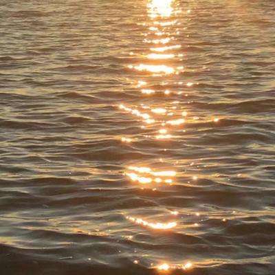 江南体育app下载手机app下载