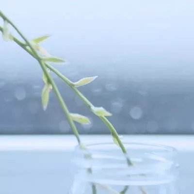 大众彩票入口welcome手机app下载