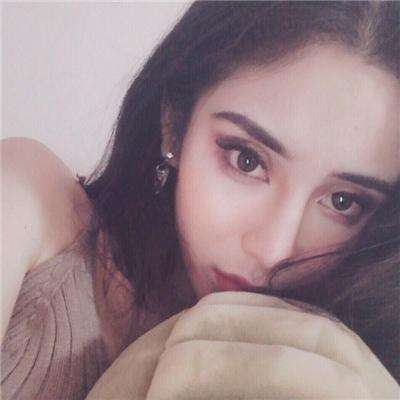 加拿大pc软件平台下载手机版